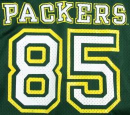 グリーンベイ パッカーズ チャンピオン ヴィンテージ ジャージ #85(緑)/ Green Bay Packers