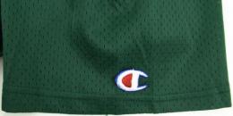 グリーンベイ パッカーズ チャンピオン ヴィンテージ ジャージ #85(緑)/ Green Bay Packers