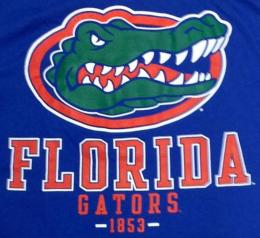 フロリダ ゲイターズ チャンピオン チームスタック 両面Tシャツ (青)/ Florida Gators