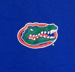 フロリダ ゲイターズ チャンピオン チームスタック 両面Tシャツ (青)/ Florida Gators