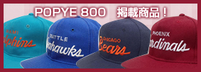 NFL(アメリカンフットボール) グッズ Sports Specialties Cap