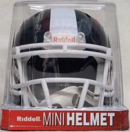 ミシガンステイト・スパルタンズ グッズ リデル レボリューション スピード レプリカ ミニヘルメット / NCAA グッズ Michigan State Spartans Riddell Revolution Speed Mini Helmet