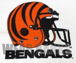 シンシナティ ベンガルズ グッズ テリモンド ヴィンテージ バスタオル(薄手) / Cincinnati Bengals