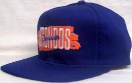 Denver Broncos New Era Vintage TWILL THREE LINE SnapBack Cap / デンバー ブロンコス ニューエラ ヴィンテージ ツイル3本線　スナップバック キャップ