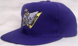 NFL グッズ AMERICAN NEEDLE DeadStock Vintage SnapBack CAP "トライアングル" / Minnesota Vikings ( ミネソタ バイキングス )(紫)