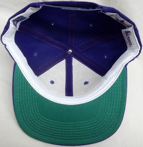 Minnesota Vikings Sports Specialties Script Vintage SnapBack Cap / ミネソタ バイキングス スポーツスペシャリティーズ