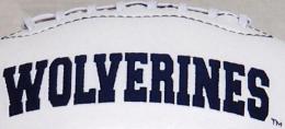 NCAA COLLEGE FOOTBALL ローリングス社 フルサイズ フットボール/Michigan Wolverines ( ミシガン大学 )