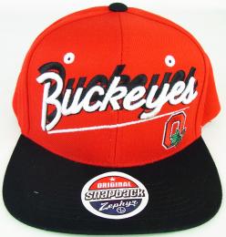 オハイオステイト・バックアイズ  グッズ カレッジ ゼファー シャドースクリプト スナップバック キャップ  / Ohio State Buckeyes Zephyr SnapBack CAP