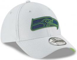 シアトル シーホークス グッズ ニューエラ NFL '18 サイドライン トレーニングキャンプ 39 Thirty FLEX CAP (グレー)/ Seattle Seahawks