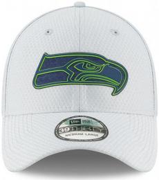 シアトル シーホークス グッズ ニューエラ NFL '18 サイドライン トレーニングキャンプ 39 Thirty FLEX CAP (グレー)/ Seattle Seahawks