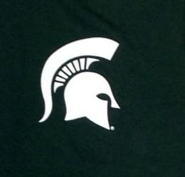 ミシガンステイト スパルタンズ チャンピオン チームスタック 両面Tシャツ (緑)/ Michigan State Spartans