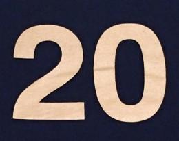 CHAMPION ( チャンピオン ) × WEARBANKS ( ウェアーバンクス ) / 別注 オリジナル20周年アニバーサリー両面Tシャツ(紺/金) 7.1 OZ 100% COTTON Heritage Jersey Tee ※ラバープリント版