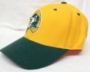 グリーンベイ パッカーズ リーボック レトロツートンウールCAP (黄/緑)/ Green Bay Packers