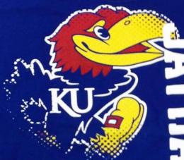 カンザス ジェイホークス グッズ アディダス '10 バトルギアTシャツ / Kansas Jayhawks adidas T-Shirt