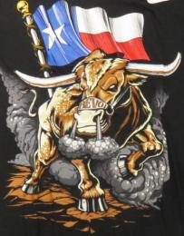 テキサス ロングホーンズ グッズ ナイキ '15 トリ オーソリテイティブ Tシャツ (黒) / Texas Longhorns