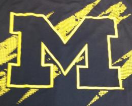 ミシガン ウルバリンズ グッズ アディダス '14 アフターショック 長袖 Tシャツ (クライマライト版)/ Michigan Wolverines